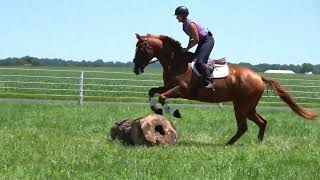 Madaket Road field jumps and ring 7 30 23