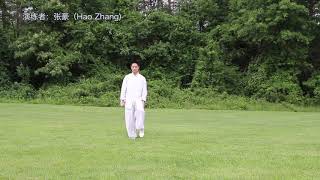 Hao Zhang taichi -New Yang Style Compulsory Form