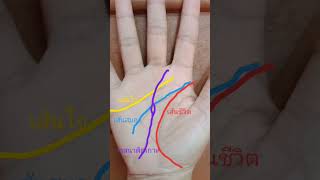 #ลายมือ #ลายมือเศรษฐีศาสตร์ที่ช่วยพลิกชีวิตคุณ #ลายมือวาสนาติดเกาะ