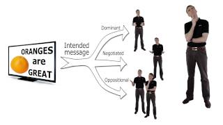 reception theory - audience theory