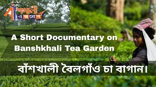 বাঁশখালী বৈলগাঁও চা বাগান | A Short documentary on Banshkhali Tea Garden