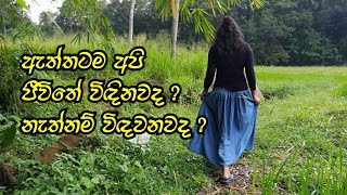 ඇත්තටම අපි ජීවිතේ විඳිනවද? නැත්නම් විඳවනවද ?