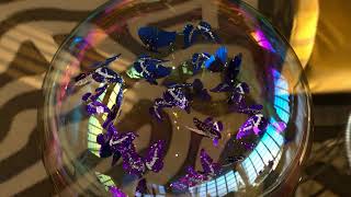 上から見たシャボン玉内のモルフォ蝶(aft_lounge) ／ Morpho butterflies inside a soap bubble seen from above