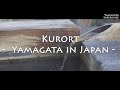 【Vlog】山形のクアオルトを体験してみた｜Yamagata  Kurort Healthy Walking in japan