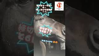 【サラブリトレーニング】引退馬支援【ネーミング募集】