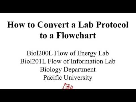 How to Convert a Lab Protocol to a Flowchart How to Convert a Lab Protocol to a Flowchart