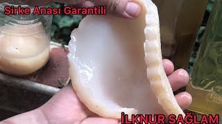 Sirke Anası Garantili Elma Sirkesi Nasıl Kurulur /Evde Elma Sirkesi Tarifi/Tüm detaylarıyla Sirke