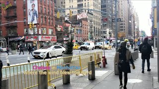 Chelsea in Manhattan [CC]코로나로 텅빈 미국 뉴욕 첼시마켓Anthropologie