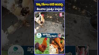 కొన్ని రోజులు చికెన్ తినవద్దు.. తెలంగాణ ప్రభుత్వం హెచ్చరిక #chickenlovers #foodielovers