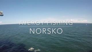 AVEROY FISHING - Norsko (srpen 2018)