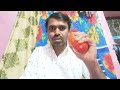 crk videos16 is live madanapalle tomato market price today 🍅 మదనపల్లె టమోటారేట్లు todaytomatorate