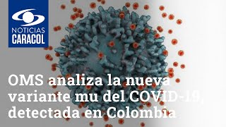 OMS analiza la nueva variante mu del COVID-19, detectada en Colombia desde enero