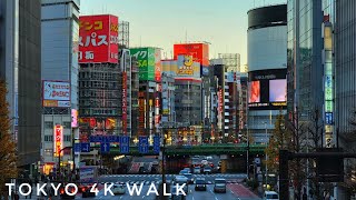 4K Tokyo Walk - Sunset in Shinjuku