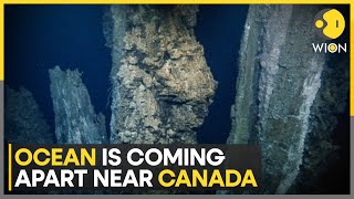 Nearly 2,000 earthquakes shake Canada’s Vancouver island in one day | WION News