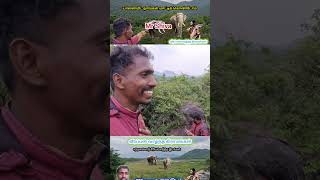 இந்தக் காட்டு வாழ்க்கை மிகவும் ஆபத்தானது #elephant #veerappan #mrshiva