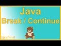 Java Break and Continue Statements in a While Loop Example - Java Programming - Appficial