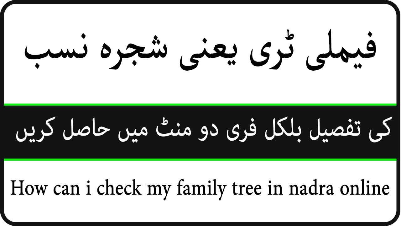 How Can I Check My Family Tree In Nadra Online - YouTube