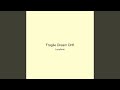 Fragile Dream Drift