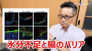 夏見台幼稚園・保育園ビデオニュース　2024年8月号その7「解説：水分不足と腸のバリアの関係」