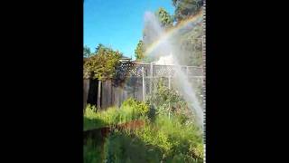 Rainbow Spray