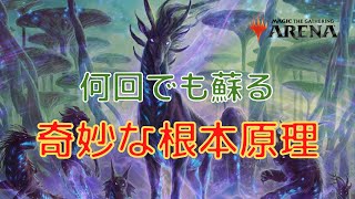 【MTGアリーナ】何度でも蘇る、奇妙な根本原理デッキ