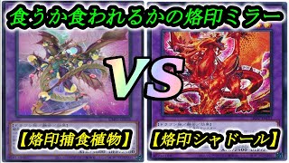 【遊戯王】烙印がマスターデュエルに来る日はいつになるのか『烙印捕食植物』vs『烙印勇者シャドール』フリーデュエルPart1224【対戦動画】