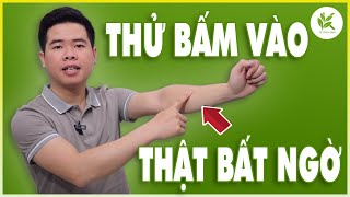 Thử Bấm Huyệt Này Rồi ĐI NGỦ Bạn Sẽ Thấy Điều Đặc Biệt | CÁNH TAY HẾT ĐAU - NGỦ NGON ĐẾN SÁNG | TCL