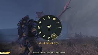 Fallout 76 スコーチビーストクィーン戦