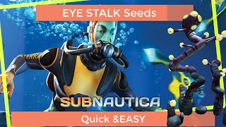 How to find Eye Stalk Seed Quick and Easy guide // Subnautica Beginners Guide