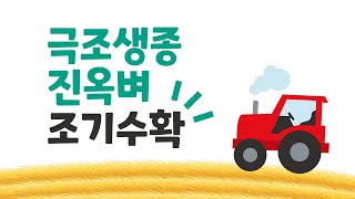 극조생종 진옥벼 조기수확 시작! ㅣ 광분해 한번에측조스피드 ㅣ 팜한농