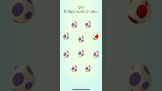 Hatching 10 eggs （9X10KM + 1X12KM）一次孵9顆10公里及1顆12公里蛋