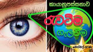 කායානුපස්සනාව 2 (මෙත්මල් අරණ )