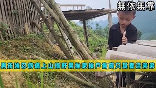 六歲小男孩撿垃圾養弟弟，沒有父母的他，小小就承擔起父母的《無依無靠》01-05合集