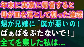 【スカッとする話】年末に実家に帰省し、母が皿を落として割った途端甥が兄嫁に「僕が悪いの！ばぁばをぶたないで！」全てを察した私は...【感動する話】