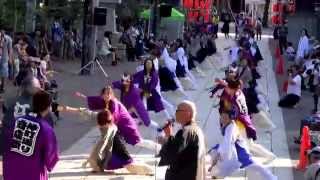 深川よさこい連さん　深川カーニバル・富岡八幡宮会場