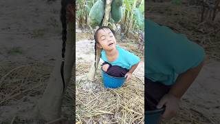 นอนเฝ้ามะละกอต้นเตี้ย #funny #ตลก #เด็กน่ารัก #cute #cutebaby #มะละกอ #funnyshorts