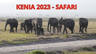 KENIA 2023 - Safari Tsavo West, Amboseli, Diani Beach, Mombasa [Powitanie z Afryką - Rainbow]