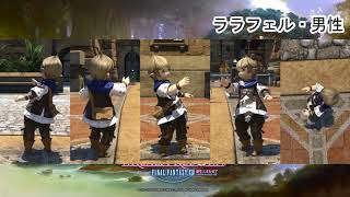 【FF14】　良く分かるエモート集　第４４回「平手打ち/slap」