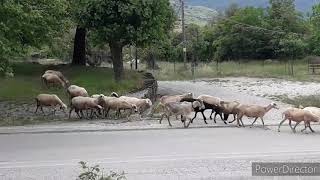 Παλαιοκάτουνο Άρτας - Κεντρικά Τζουμέρκα