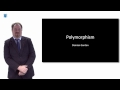 Python: Polymorphism