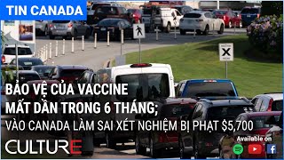 🔴 TIN CANADA 26/08 | Chạy đua di tản ở Kabul; Mỹ tặng Việt Nam 1 triệu liều vaccine