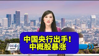 中国央行出手！中国公司在美国股票上涨 利好5大行业