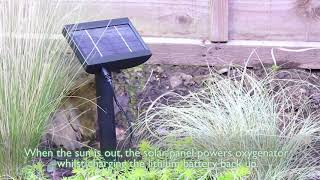 Liberty Solar Pond Oxygenator Air Pump  |  Blagdon