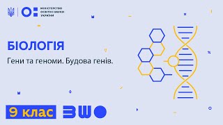 9 клас. Біологія. Гени та геноми. Будова генів