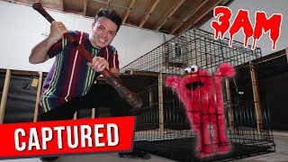 (SCARY) CAPTURING ELMO AT 3AM CHALLENGE!! *ACTUALLY WORKED!!*