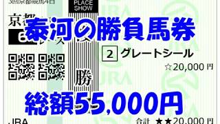 【競馬】泰河の勝負馬券　３レース総額55,000円　【実践】ワイド1点1万円　複勝2万円