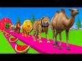 Paint & Animals Cow,Mammoth,Gorilla,Lion,Duck,Camel Fountain Crossing Transformation Animal Cartoon