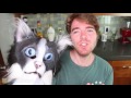 TESTING WEIRD CAT PRODUCTS 2
