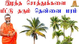 இழந்த சொத்துகளை மீட்டு தரும்  தென்னை மரம் ரகசியதகவல்I Secret Information Of Coconut Tree | ருத்ரன்ஜி