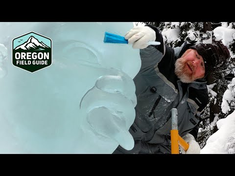 Chainsaw ice sculpting with a world champion Oregon Field Guide